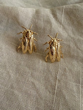 Cicada Gold Studs
