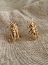 Cicada Gold Studs