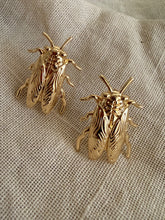 Cicada Gold Studs