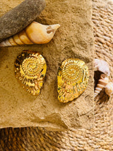 Sea Shell Luxe earrings